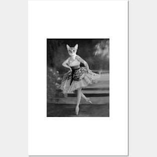 Ballerina Cat Posters and Art